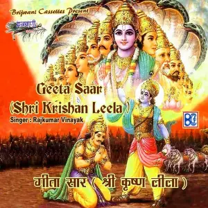 Geeta Saar (Shri Krishna Leela) image