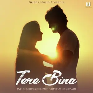 Tere Bina image