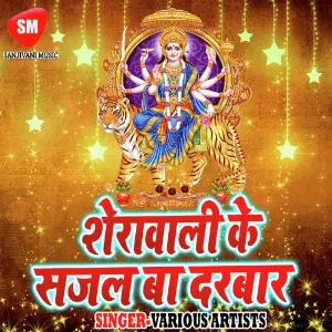 Shera Wali Ke Sajal Ba Darbar image