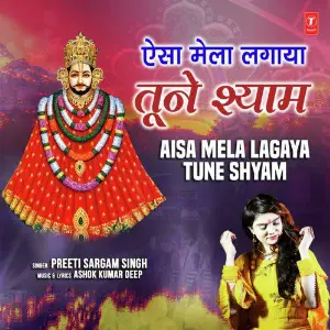 Aisa Mela Lagaya Tune Shyam image