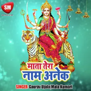 Mata Tere Naam Anek image