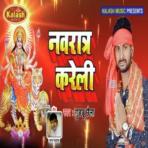 Navaratra Kareli image