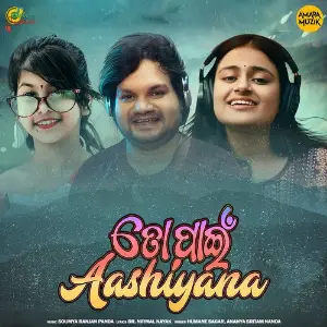 To Pain Aashiyana image