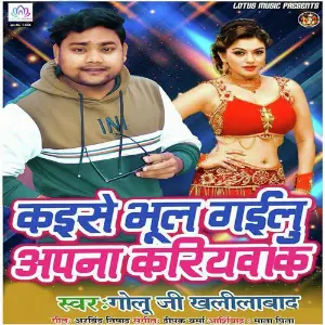 Kaise Bhul Gailu Apana Kariyawa Ke image