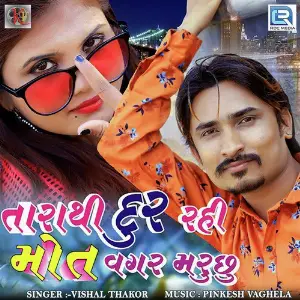 Tu Pachhi Aavi Ja Vishal Thakor