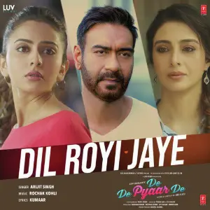 Dil Royi Jaye (From De De Pyaar De) image