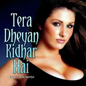 Tera Dheyan Kidhar Hai image