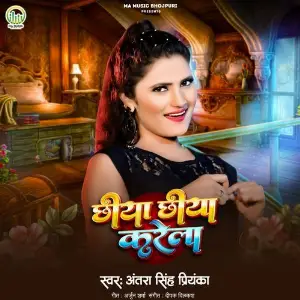 Chhiya Chhiya Karela image