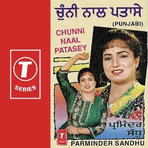 Chunni Naal Patasey image