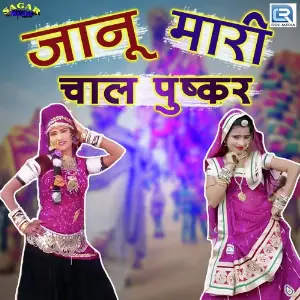 Janu Mhari Chaal Pushkar image