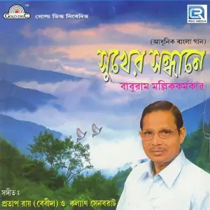 Sukher Sondhane image