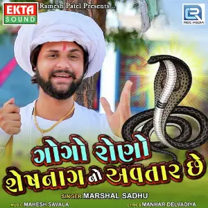 Gogo Rono Shesh Nag No Avtaar Chhe image