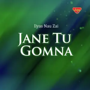 Jane Tu Gomna image