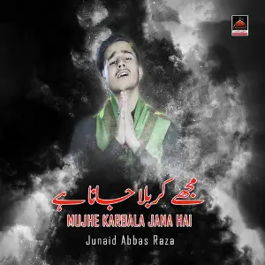 Mujhe Karbala Jana Hai image