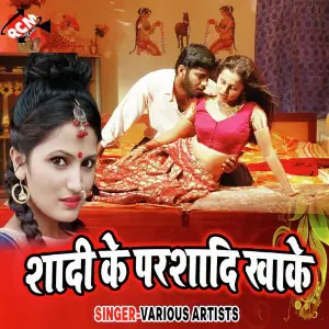 Sadi Ke Parsadi Khake image