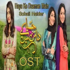 Haya Ke Daaman Main (From Haya Ke Daaman Maina) image