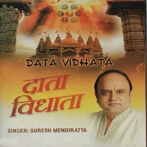 Data Vidhata image
