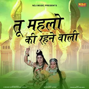 Tu Mehlo Ki Rehne Wali image