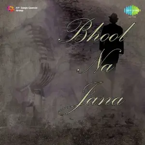 Bhool Na Jana image