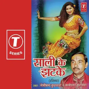 Saali Ke Jhatke image