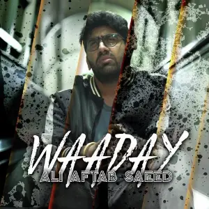 Waaday image