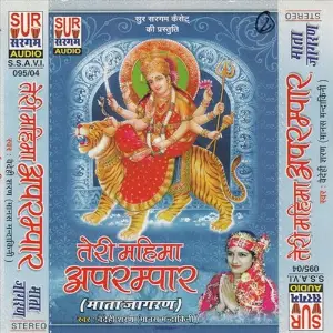 Teri Mahima Aprampar-Hindi Devi Geet image