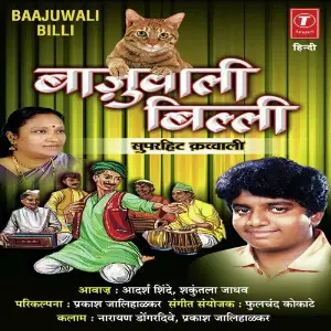 Baajuwali Billi image