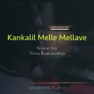 Kankalil Melle Mellave image