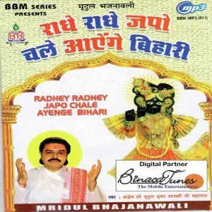 Radhe Radhe Japo Chale Aayenge Bihari image