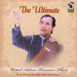 The Ultimate - Ustad Aslam Hussain Khan image