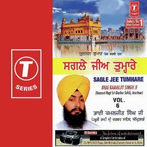 Sagle Jee Tumhare (Vol. 6) image