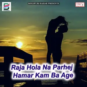 Raja Hola Na Parhej Hamar Kam Ba Age image