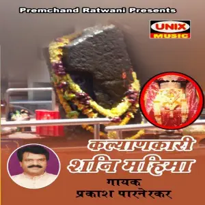 Kalyaankari Shani Mahima image