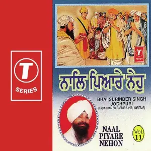 Naal Piyare Nehon (Vol. 11) image