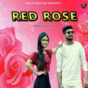 Red Rose image
