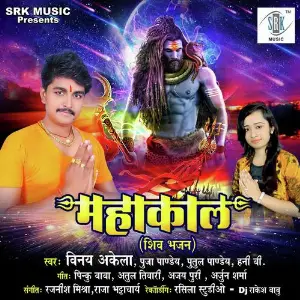 Mahakaal image