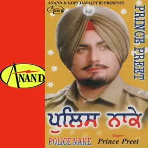 Police Naake image