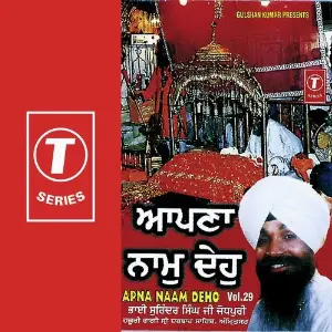 Apna Naam Deho (Vol. 29) image