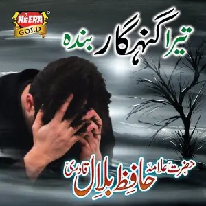 Tera Gunahgar Banda image