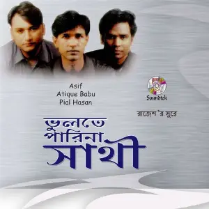 Vulte Parina Shathi image