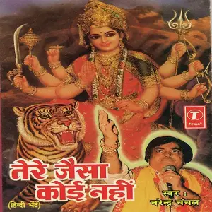 Tere Jaisa Koi Nahin image