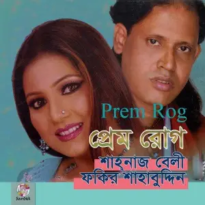 Prem Rog image