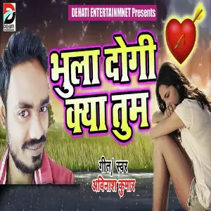 Bhula Dongi Kya Tum image