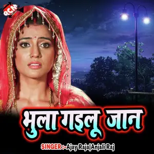 Bhula Gailu Jaan image