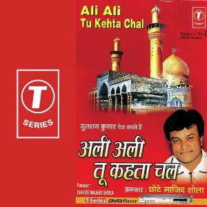 Ali Ali Tu Kehta Chal image