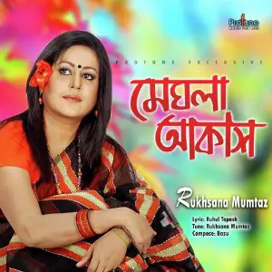 Meghla Akash image