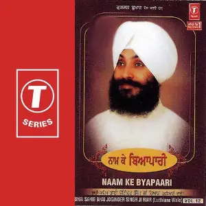 Naam Ke Byapaari (Vol. 12) image