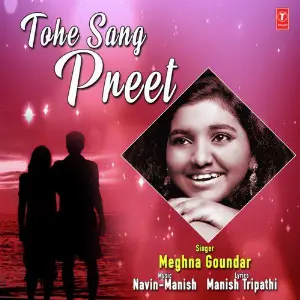 Tohe Sang Preet image