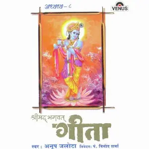 Shreemad Bhagwat Geeta - Vol. 8 image