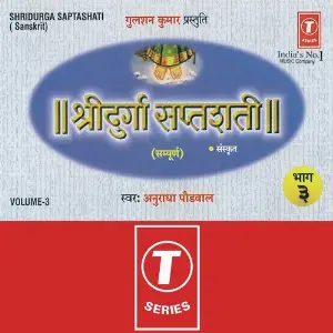 Shree Durga Saptshati (Vol. 3) image